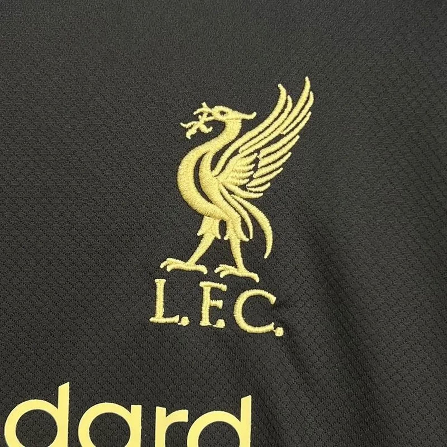 Liverpool FC 25/26 Adidas Gold Edition Jersey - Black - Fan Version