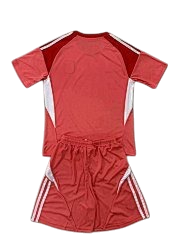 Aston Villa 25/26 Adidas Kids Goalkeeper Kit - Red - Inc Socks