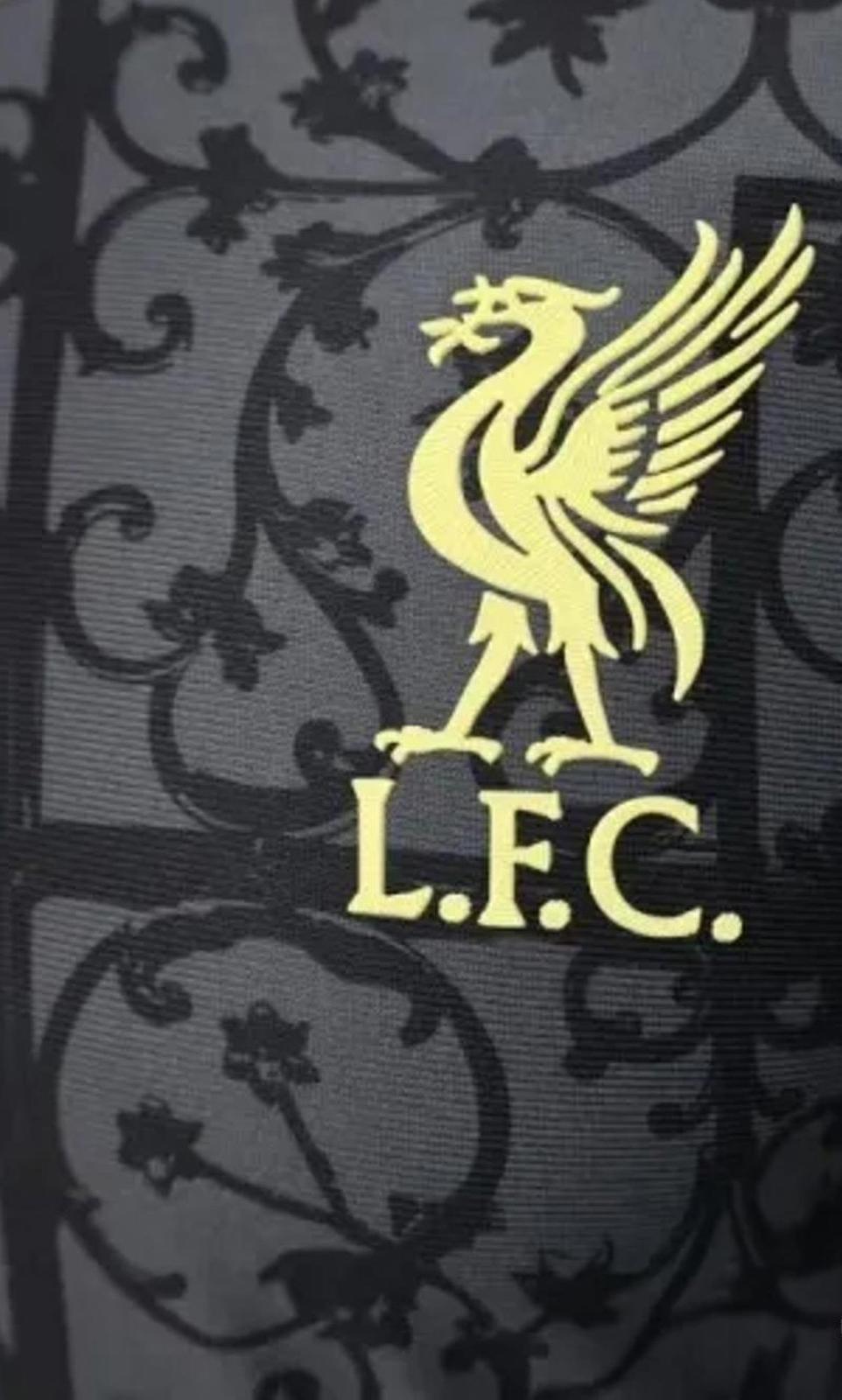 Liverpool 25/26 Adidas Special Edition Shirt - Black & Gold - Player Version